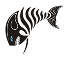 tribal shark tattoo design